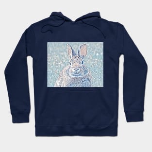 Cottontail Rabbit-B Hoodie